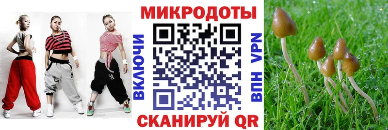 Галлюциногенные грибы мицелий  наркота  Павлово 